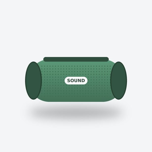 Soundcore Motion 300 Bluetooth Speaker
