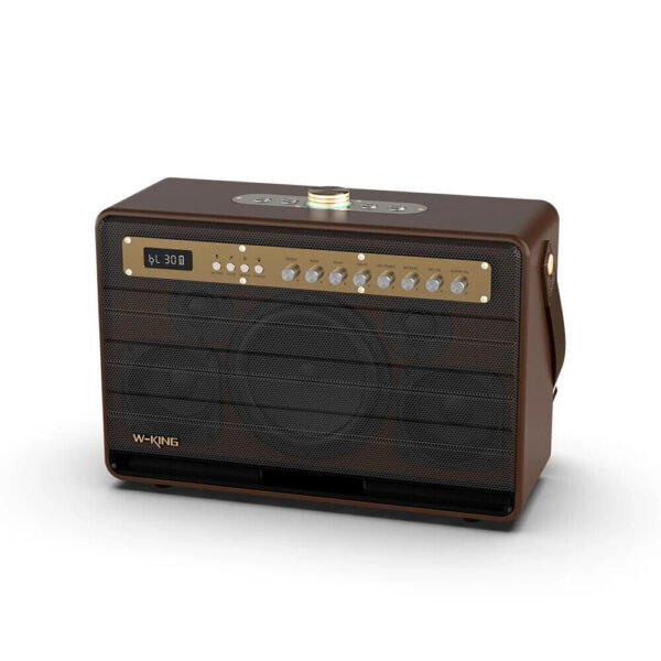 W-KING K6L 120W Karaoke Bluetooth Speaker — Mic, Subwoofer, IPX5